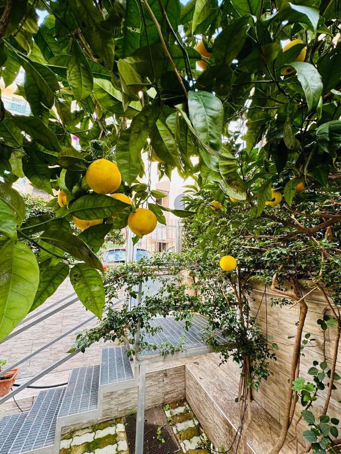 Ferdirisa Vesuvio Home&Garden San Giorgio a Cremano Buitenkant foto